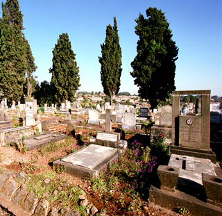 Part of the ferenji Cemetery at Gulele, Addis Ababa